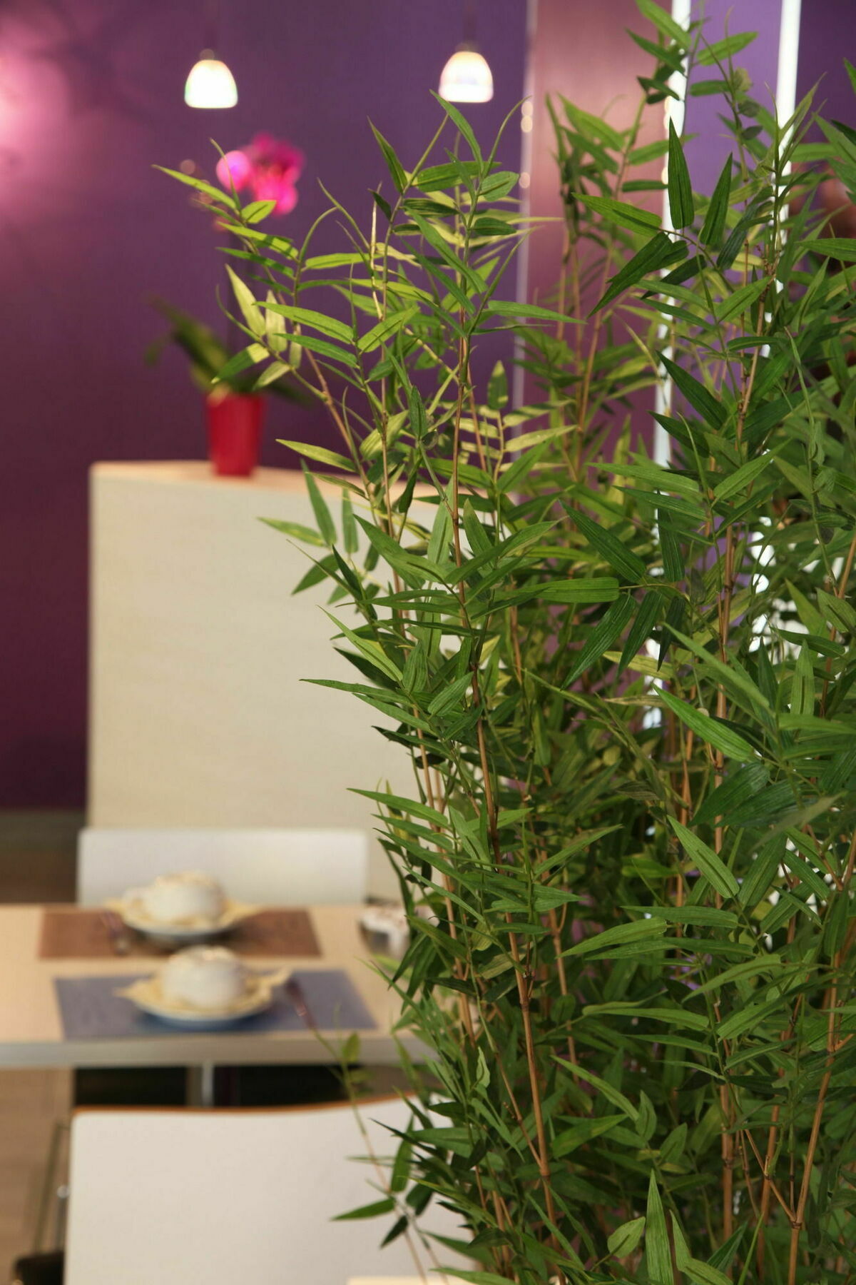 Icone Hotel - Annecy Luaran gambar