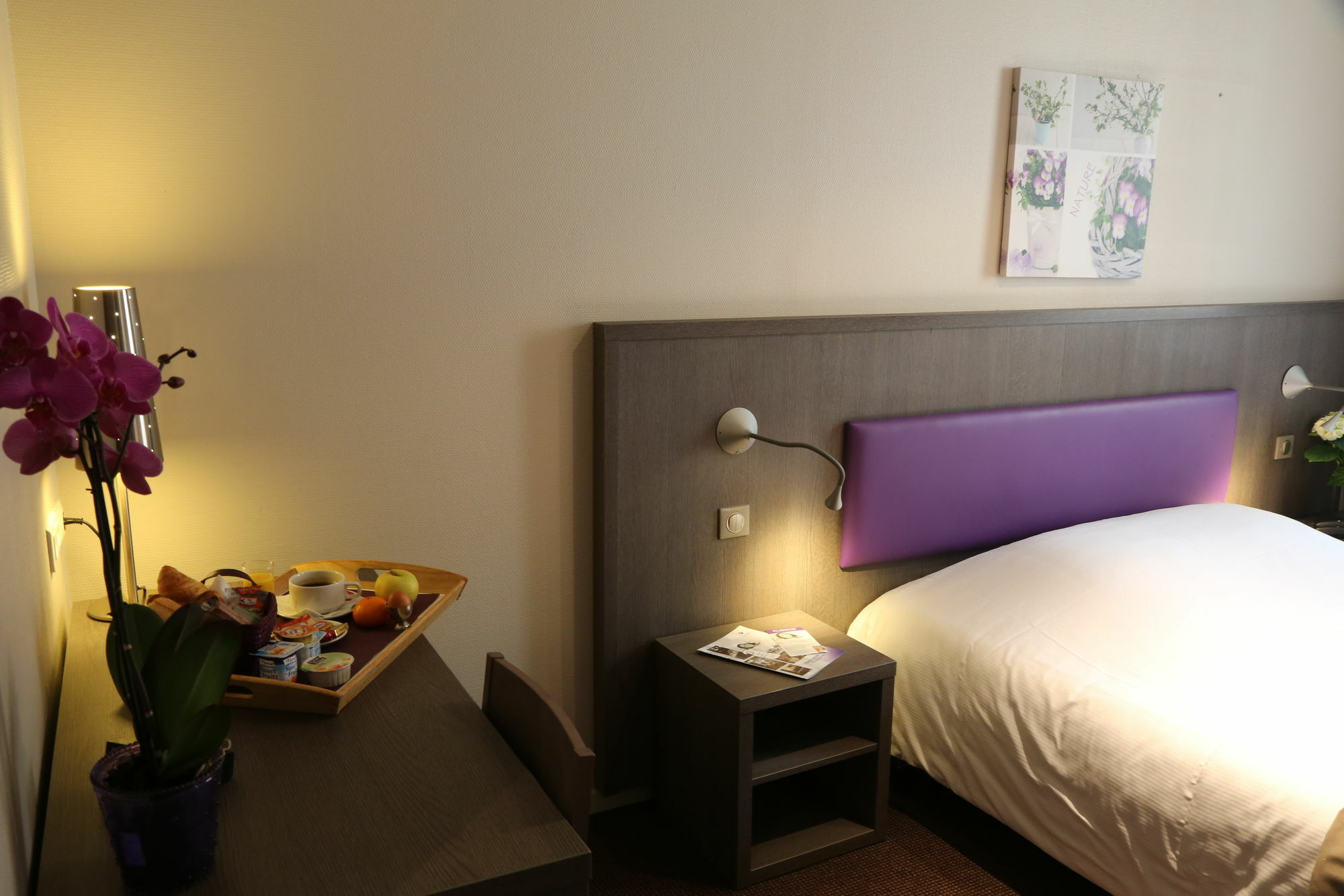 Icone Hotel - Annecy Luaran gambar
